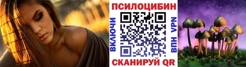 Галлюциногенные грибы Cubensis Добрянка