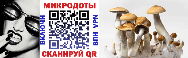 площадка формула  Добрянка  Галлюциногенные грибы мицелий 